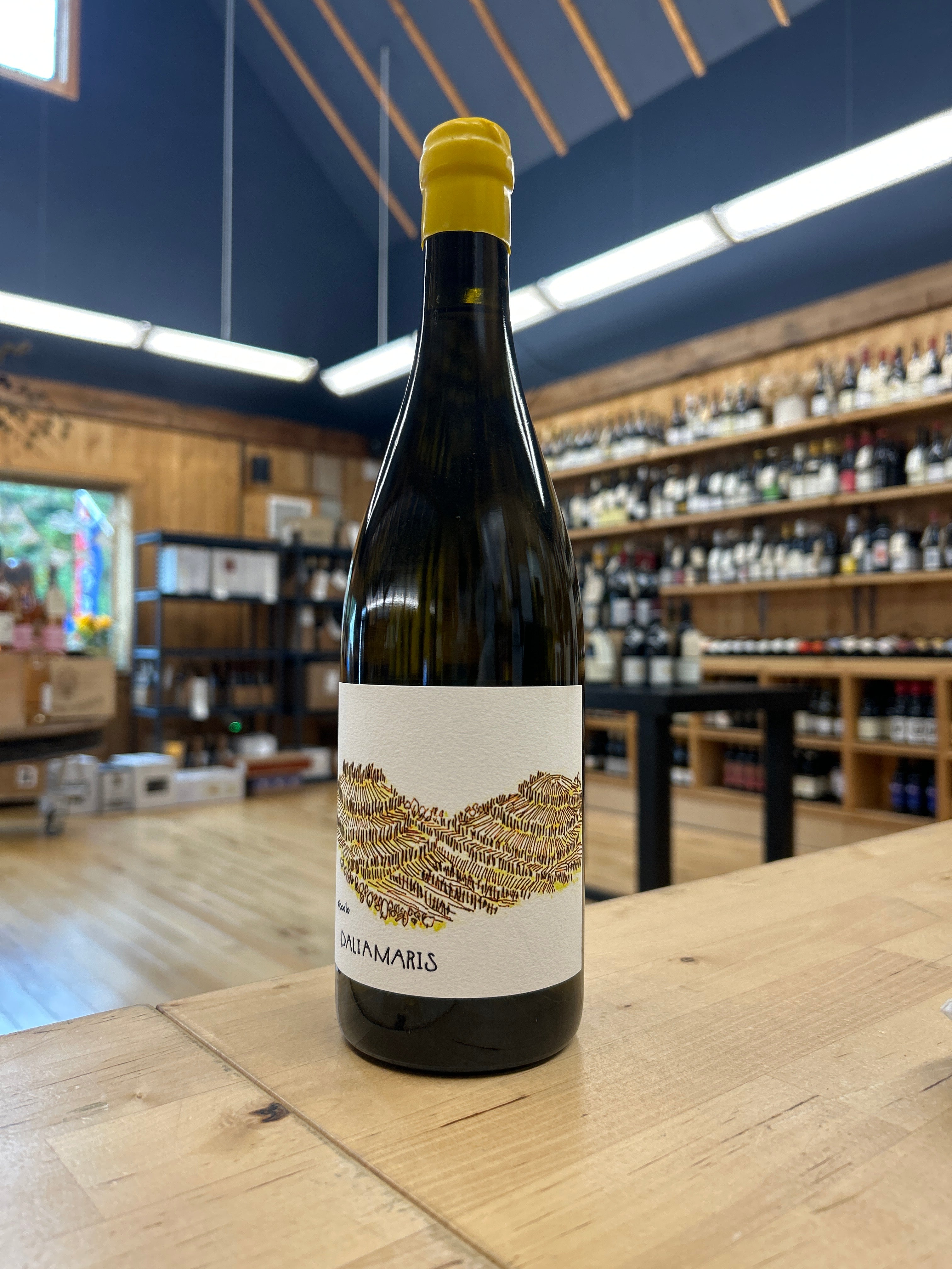 Cantina Dalia Maris Bianco, Piccolo 2023