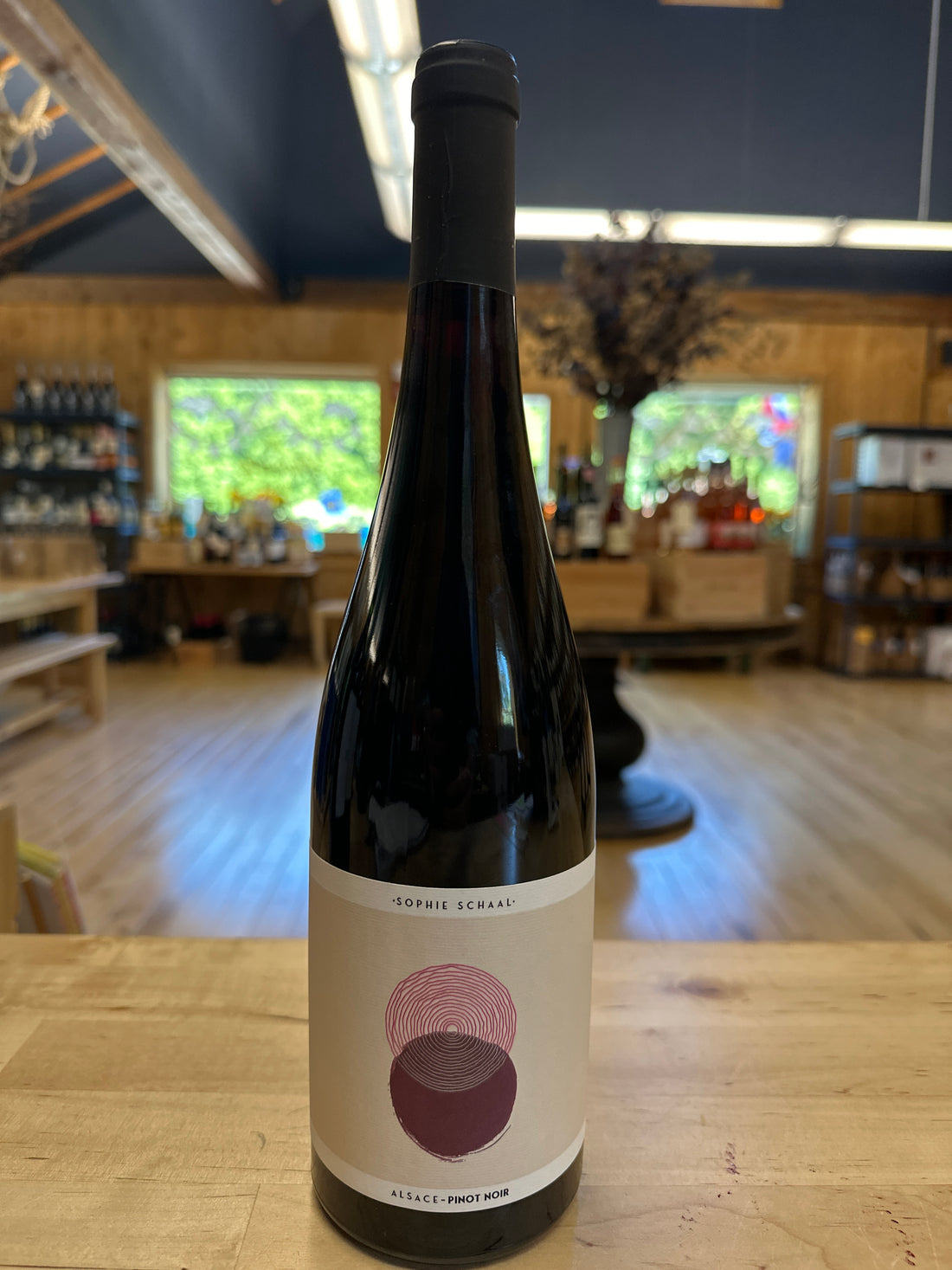 Sophie Schaal, Pinot Noir, Alsace