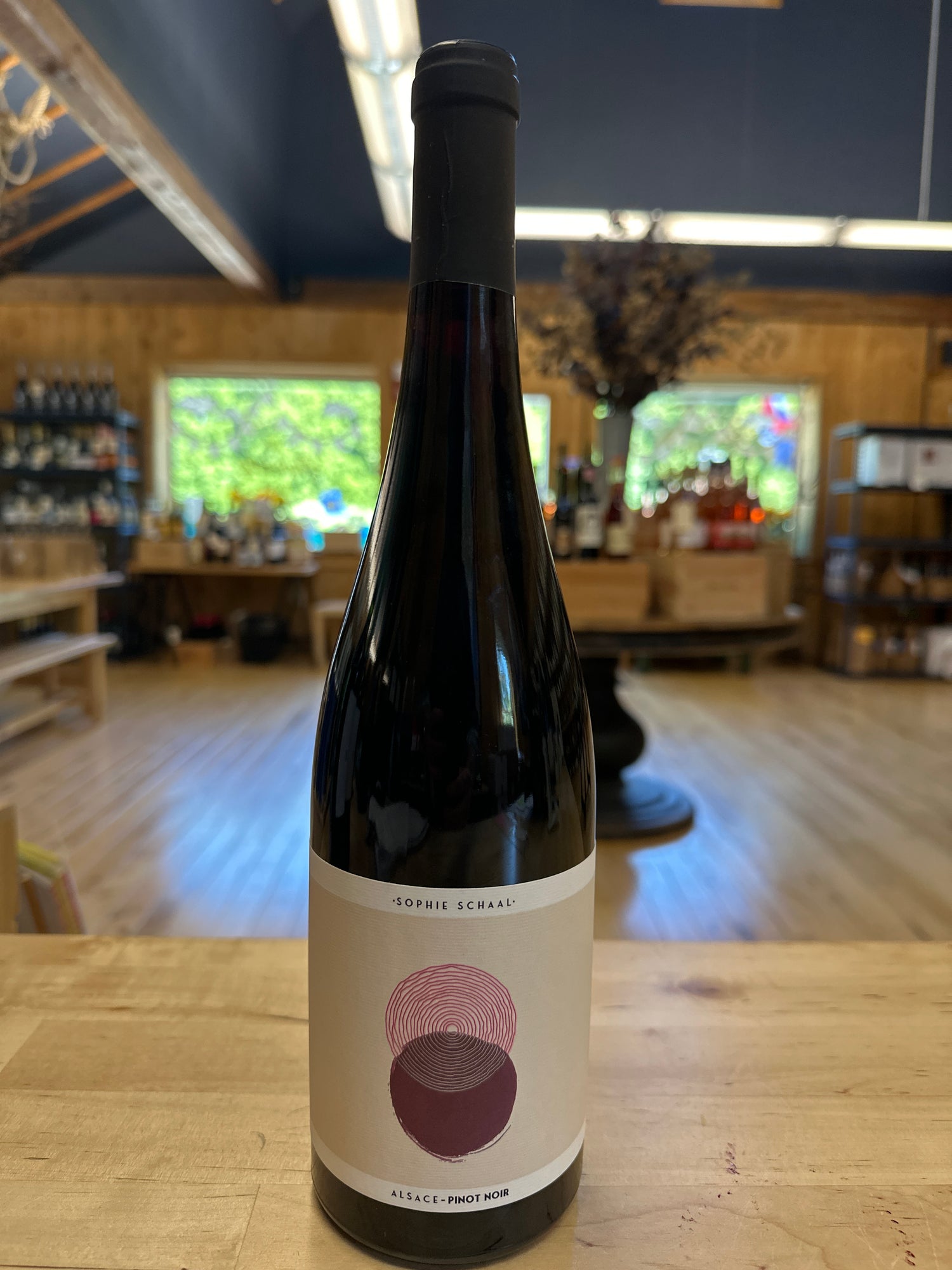 Sophie Schaal, Pinot Noir, Alsace