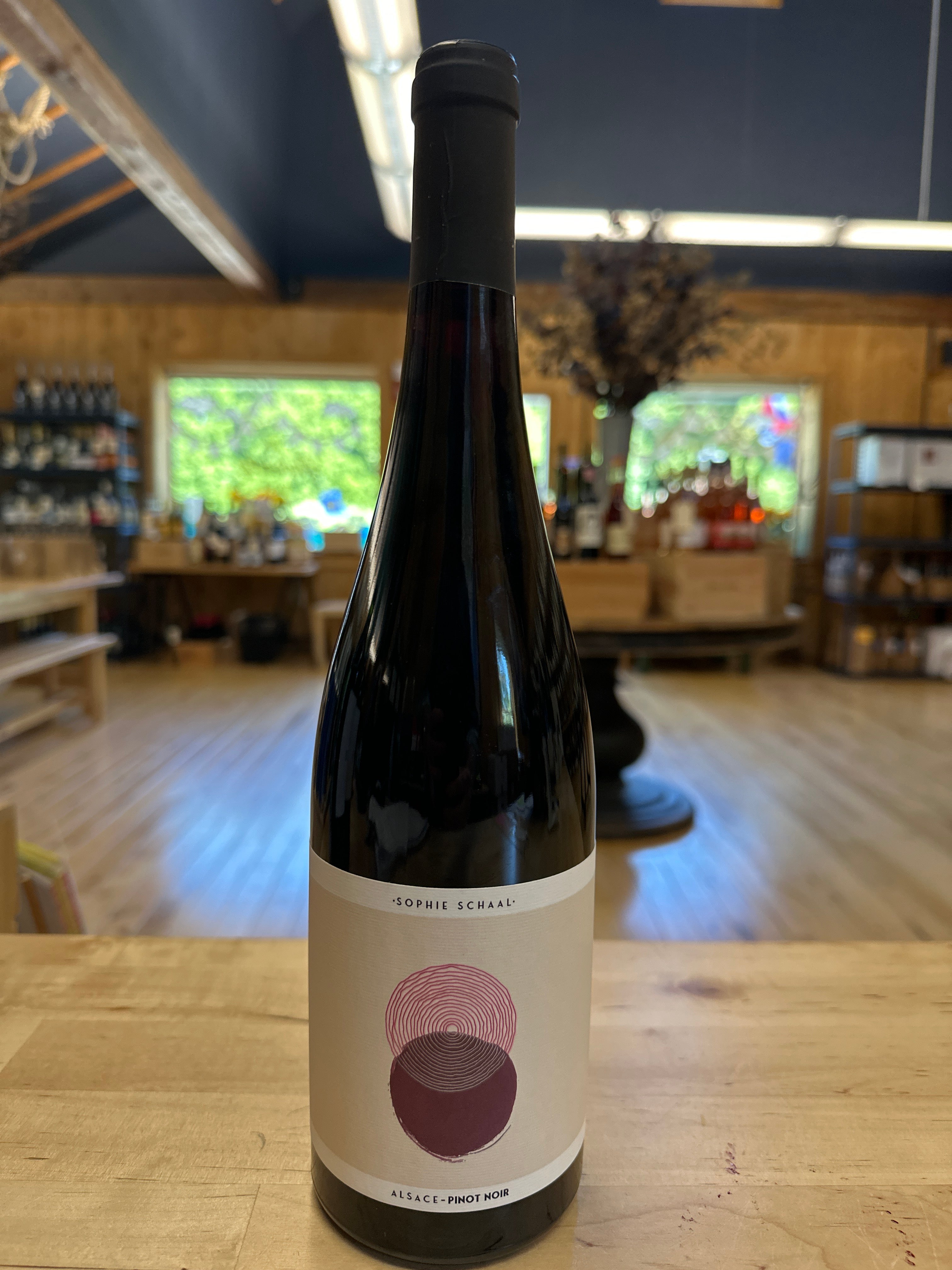 Sophie Schaal, Pinot Noir, Alsace