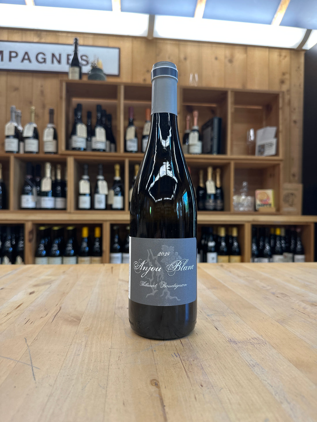 Thibaud Boudignon, Anjou Blanc, Loire 2024