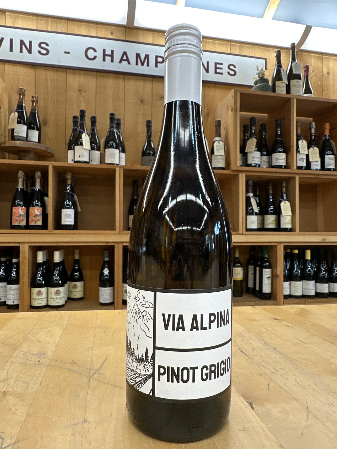 Venica, Via Alpina Pinot Grigio, Collio, 2024